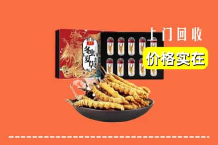 友好区回收冬虫夏草