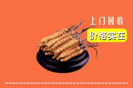 友好区回收冬虫夏草