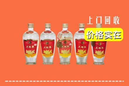 友好区回收老五粮液